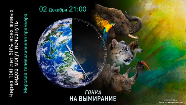 Гонка-на-вымирание