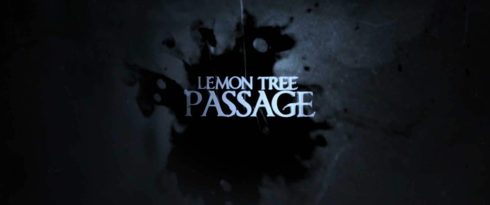 Последний поворот Lemon Tree Passage